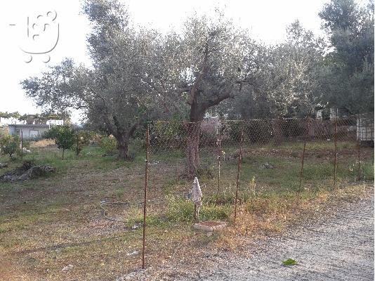 PoulaTo: ΠΩΛΗΣΗ ΟΙΚΟΠΕΔΟΥ ΣΤΗΝ ΠΕΡΙΟΧΗ ΝΑΥΠΑΚΤΟΥ